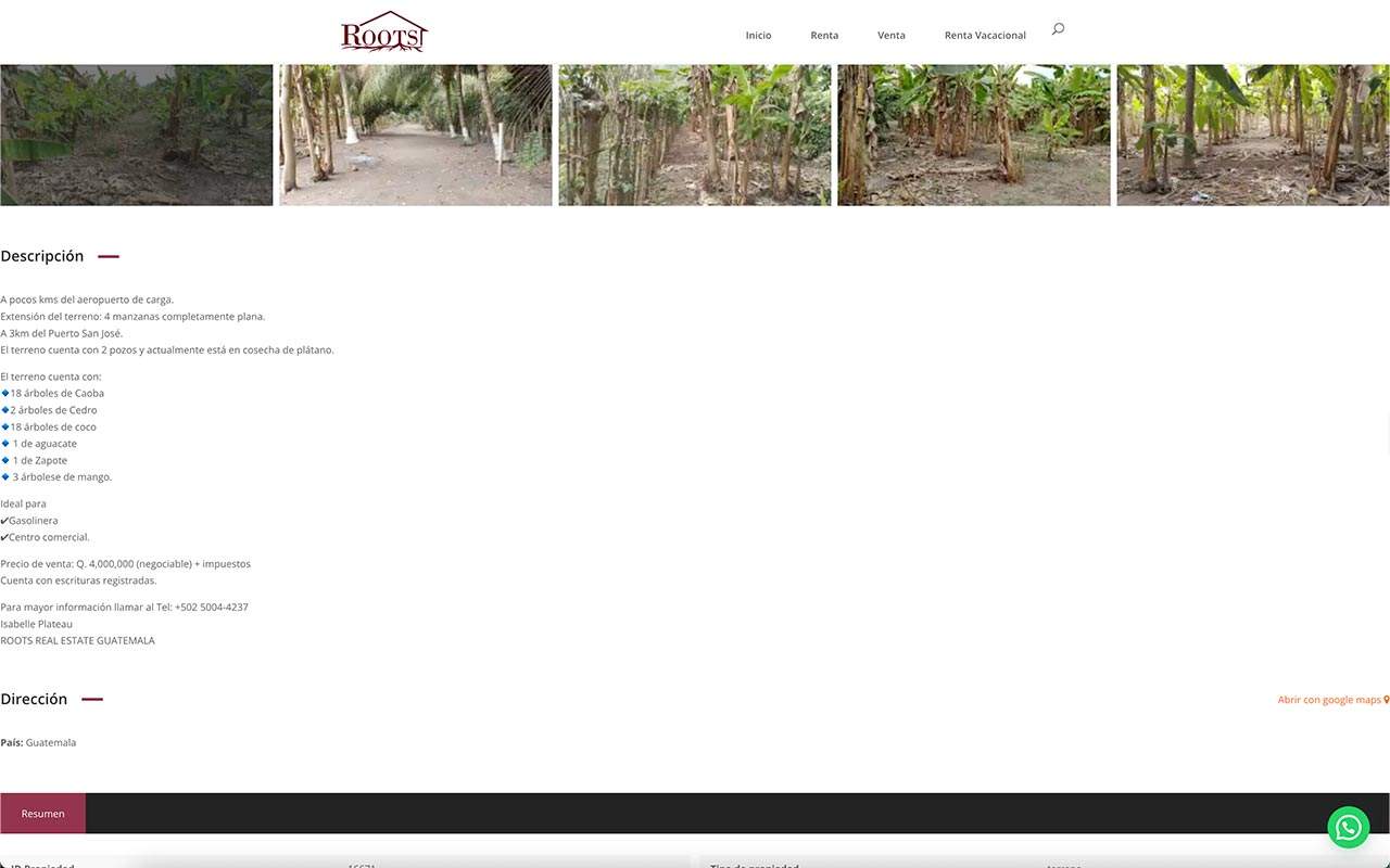Roots Real Estate Guatemala Marketing pagina web diseno grafico inmuebles bienes raices 