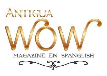 antigua wow magazine spanish clientes guatemala marketing pagina web fotografia diseno grafico 